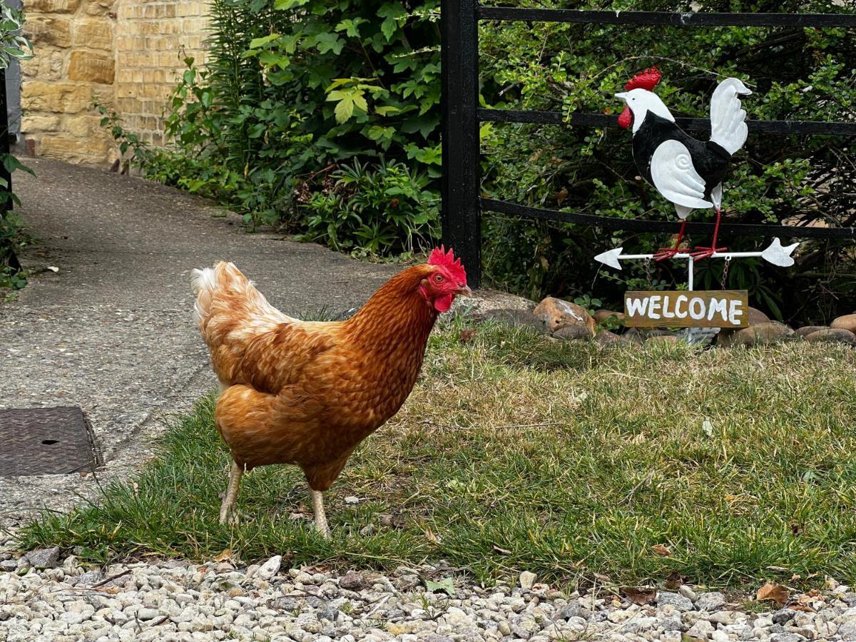 Home Farm Bed & Breakfast Milton Keynes Exterior foto