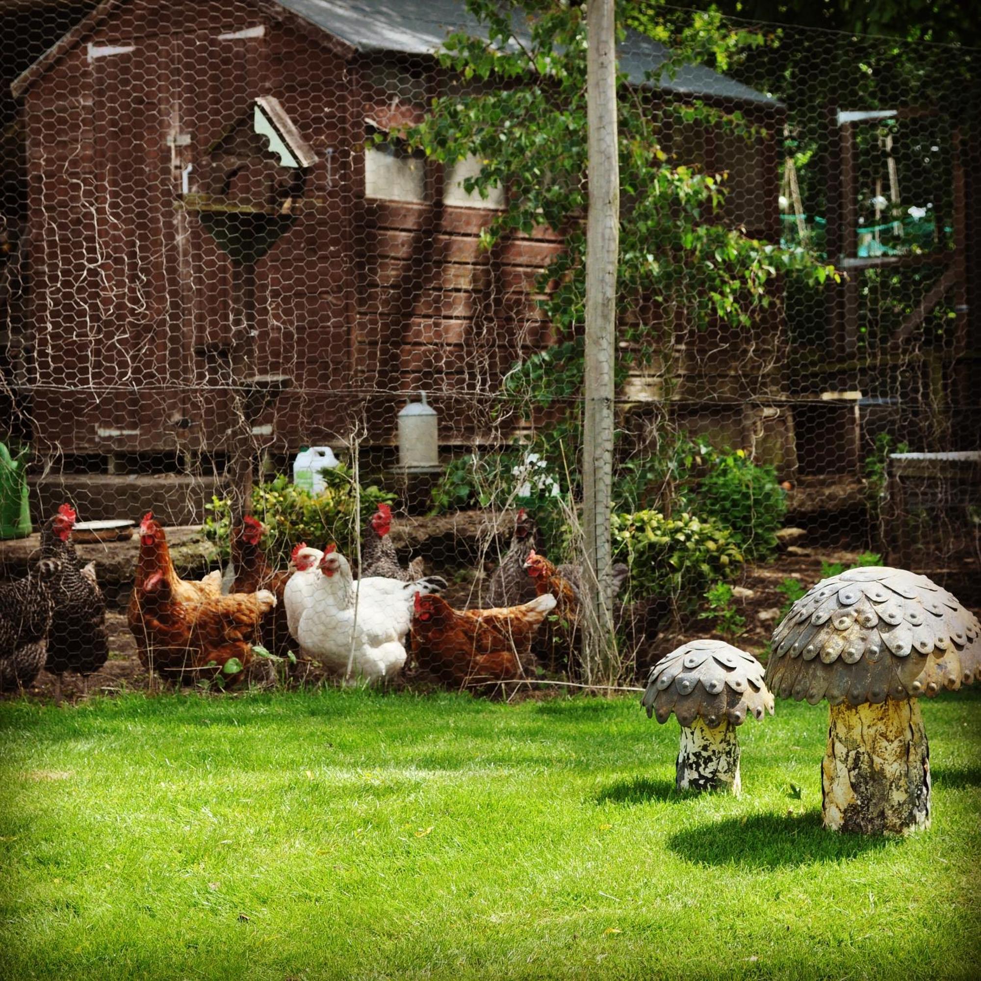 Home Farm Bed & Breakfast Milton Keynes Exterior foto